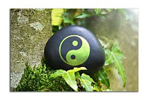 Obraz Feng shui background Yin Yang zs24788